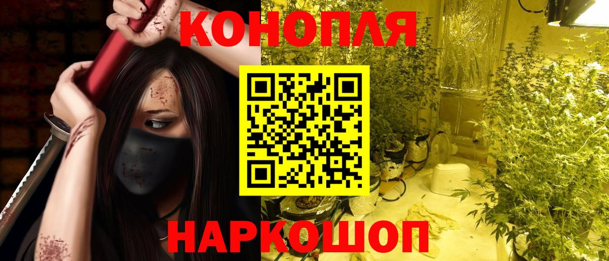 Марихуана план Канск